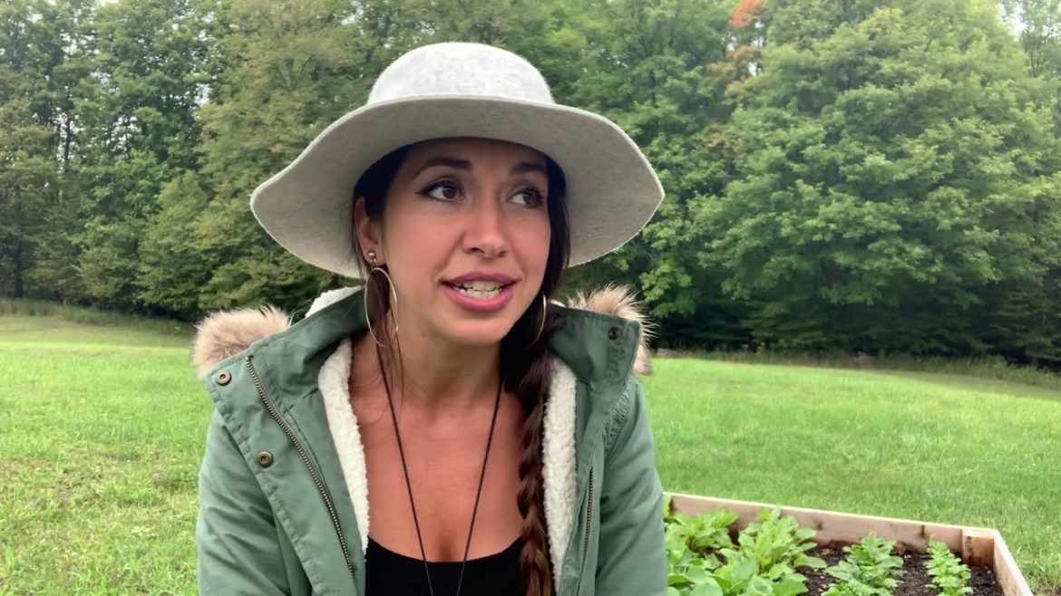 Wildcrafting + homestead gardening + going OFF GRID | Living in a one-room cabin in the woods!