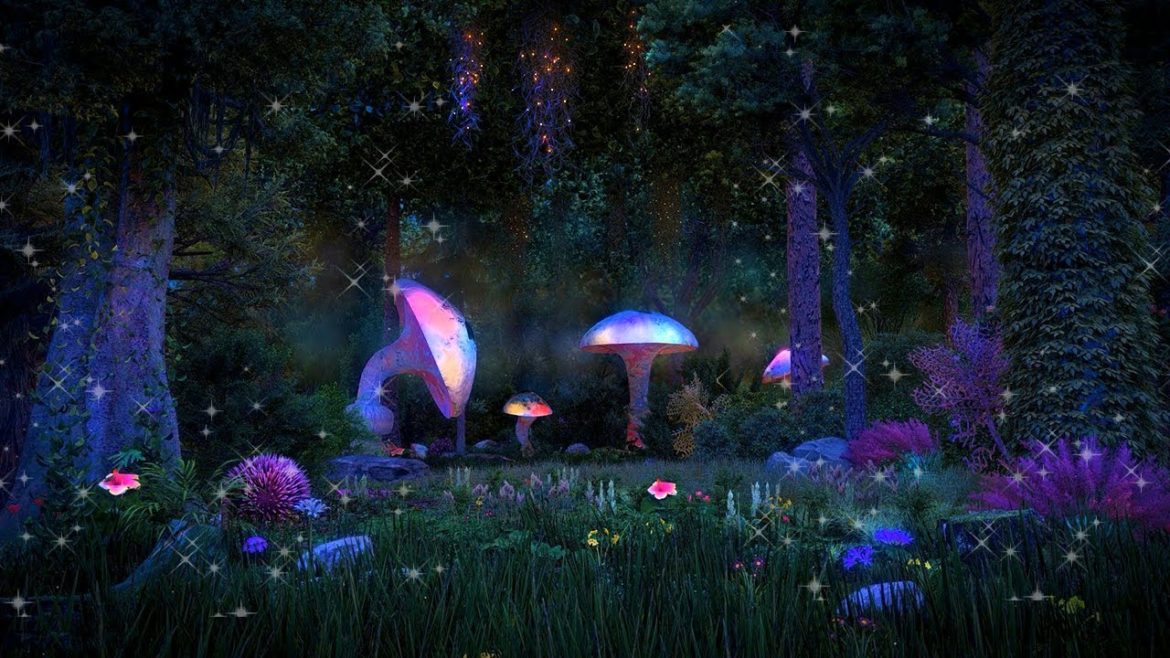 Enchanted Forest Night Ambience ✨🍄🌲 Mystical atmosphere, calming nature sounds & occasional rain. Enchanted Forest Night Ambience ✨🍄🌲 Mystical atmosphere, calming nature sounds & occasional rain.