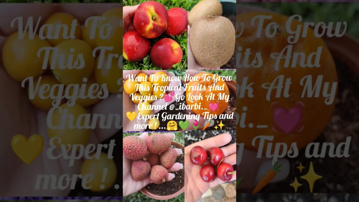 Capricorn Gardening Channel @_ibarbi_🍊💝✨ Inspiration Gardening Tips ! 🥰🌸💛🌷#plants #gardening #seed