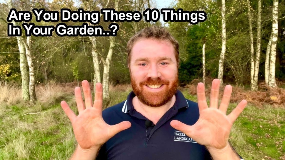 10 EASY Tips To HELP WILDLIFE In YOUR Garden This Autumn 10 EASY Tips To HELP WILDLIFE In YOUR Garden This Autumn