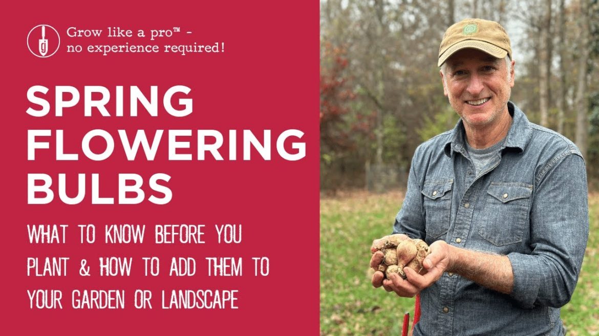 How to Add Spring Flowering Bulbs to Your Landscape in the Fall
