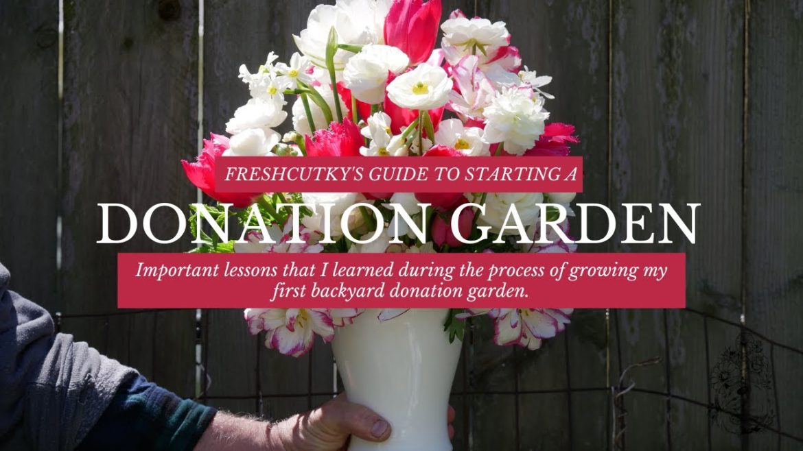 STARTING A DONATION GARDEN: Tips for Starting a Charity Donation Garden #KindnessGrowsHere