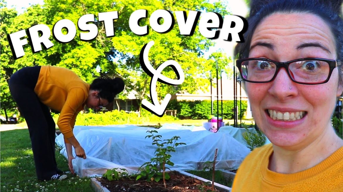 LATE SEASON FROST vs URBAN FRONT YARD GARDEN | Homestead Dreaming