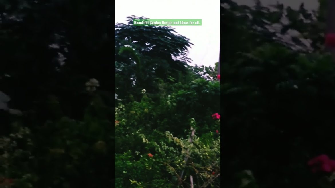 Beautiful Garden Design and Ideas for all. #shorts