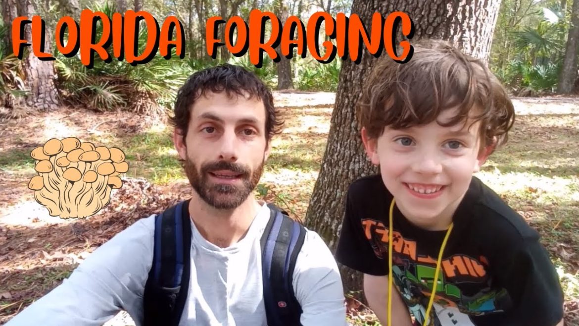 Naturevore: FLORIDA FORAGING Walk #3 (Oct. 30): RINGLESS HONEY Halloween! Naturevore: FLORIDA FORAGING Walk #3 (Oct. 30): RINGLESS HONEY Halloween!