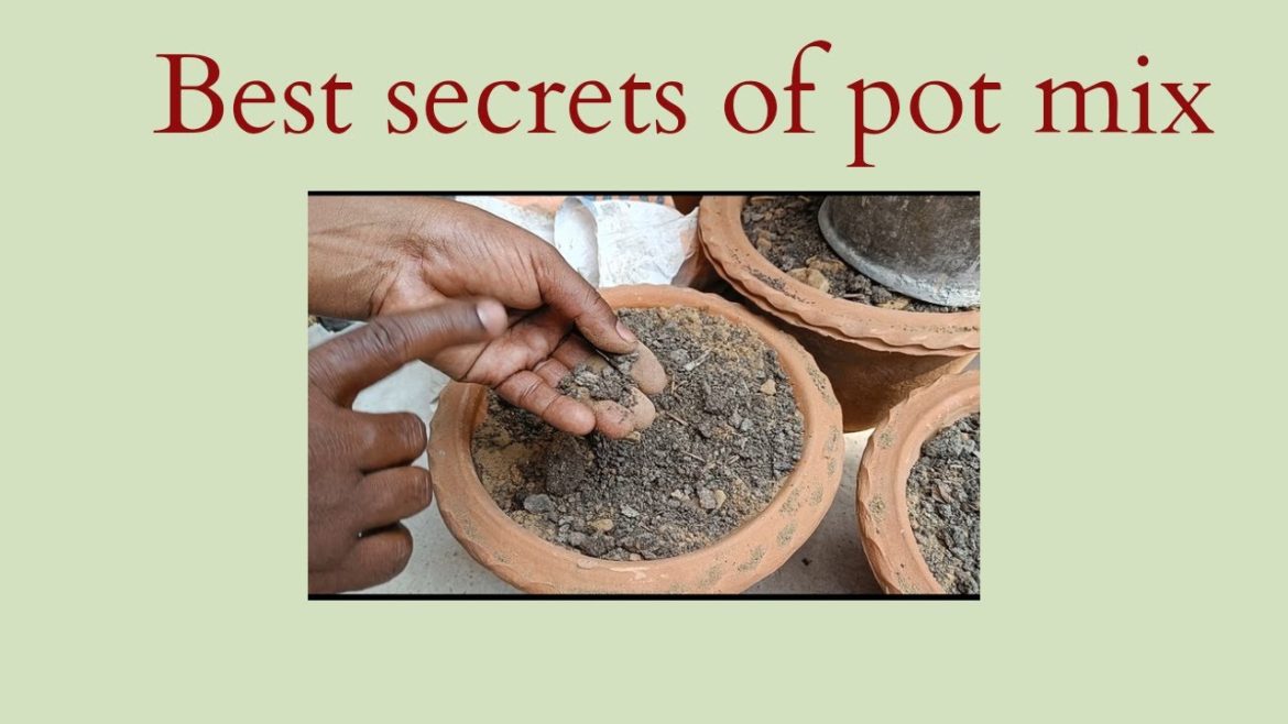 Best secrets of pot mix |Gardening channel# soil mix#plantingideas