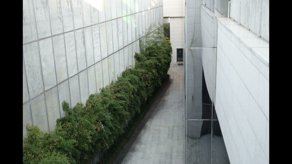 Landscape Desing ideas Best ideas for garden and landscape #56234 #shorts 1303 Landscape Desing ideas Best ideas for garden and landscape #56234 #shorts 1303