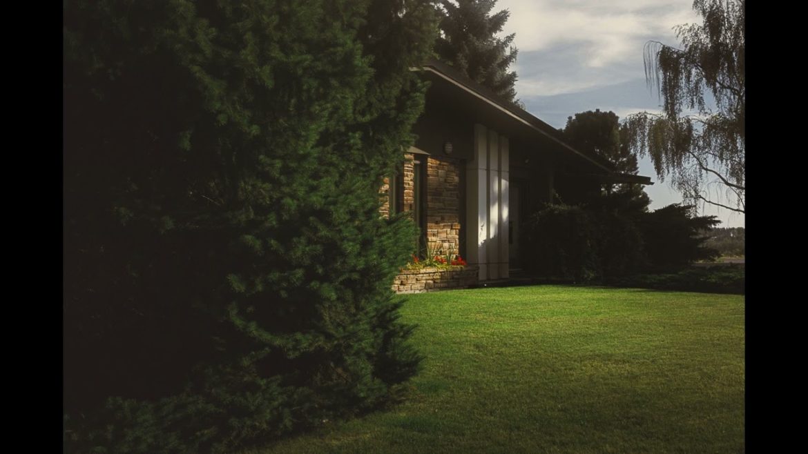 Landscape Desing ideas Best ideas for garden and landscape #56234 #shorts 1299 Landscape Desing ideas Best ideas for garden and landscape #56234 #shorts 1299