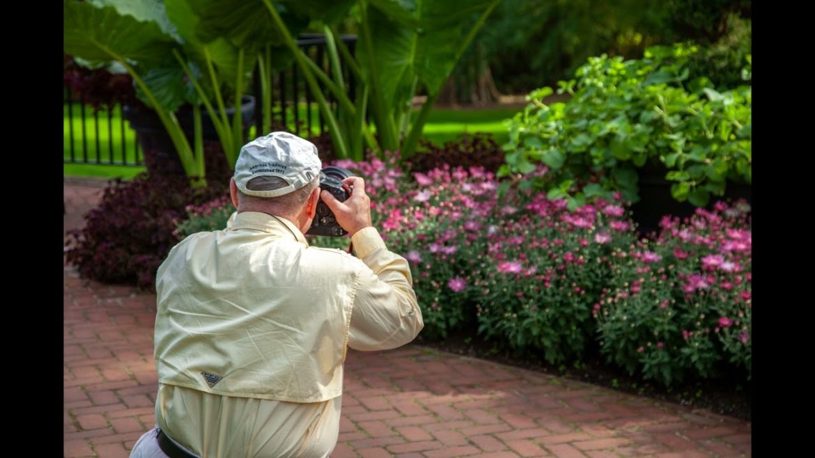 Landscape Desing ideas Best ideas for garden and landscape #56234 #shorts 1302 Landscape Desing ideas Best ideas for garden and landscape #56234 #shorts 1302