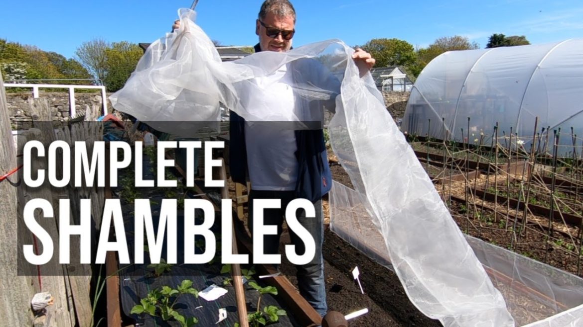 Garden Tips | A Complete Shambles
