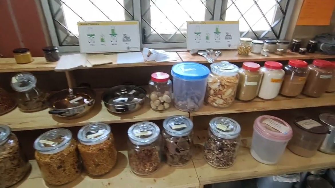 Organic Store In Bangalore : Natural  Pure :  A Must See & Nice  #organic #kannada