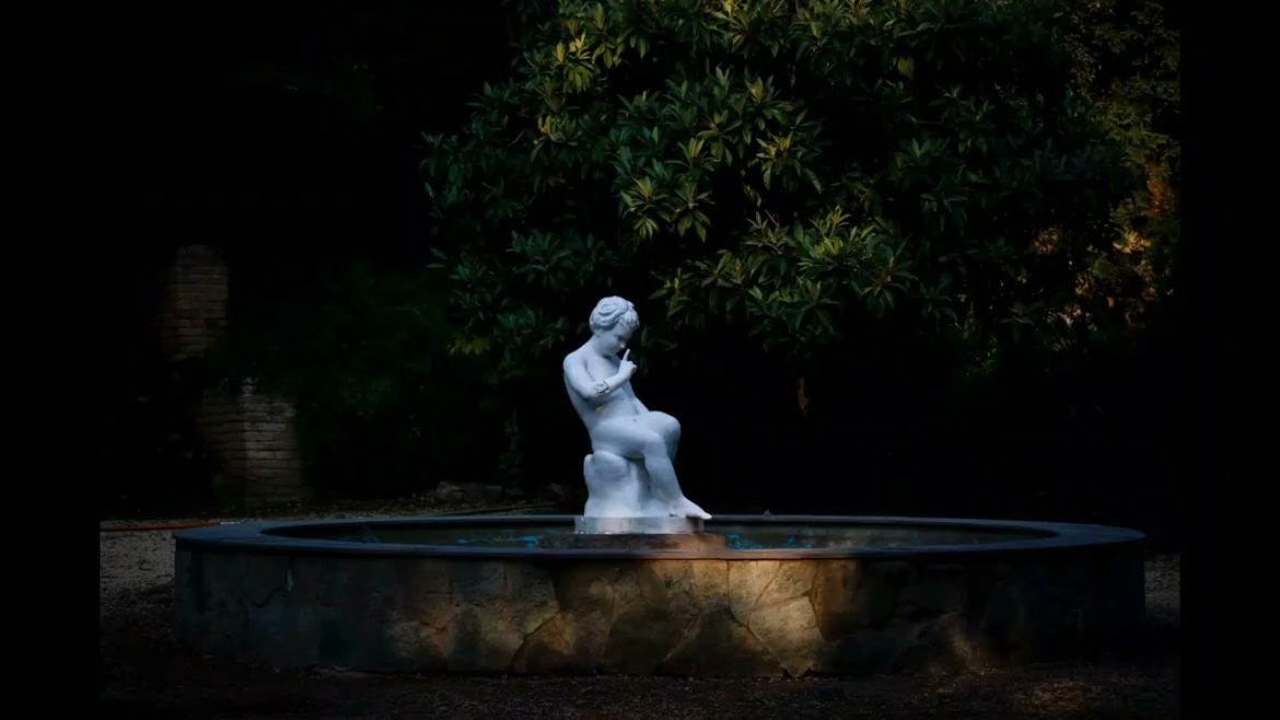 Landscape Desing ideas Best ideas for  garden and landscape #56234 #shorts 1301