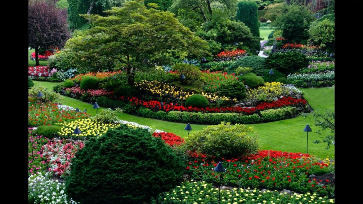 Landscape Desing ideas Best ideas for  garden and landscape #56234 #shorts 1300