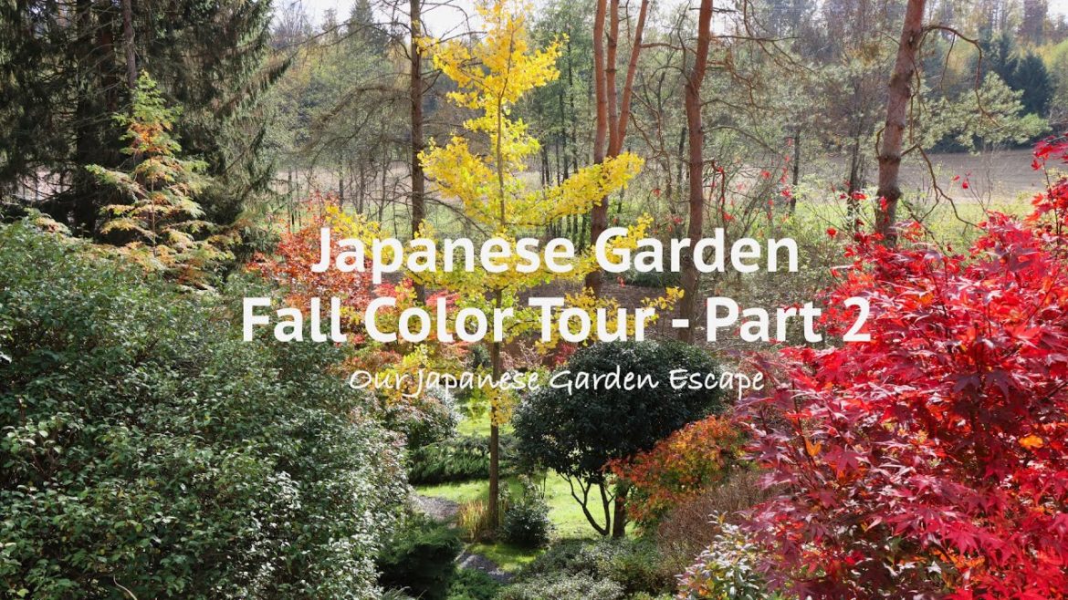 Autumn Garden Tour and Fall Color 2022 – Part 2 | Our Japanese Garden Escape Autumn Garden Tour and Fall Color 2022 - Part 2 | Our Japanese Garden Escape