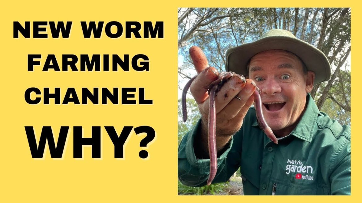 My New WORM FARMING Channel? My New WORM FARMING Channel?