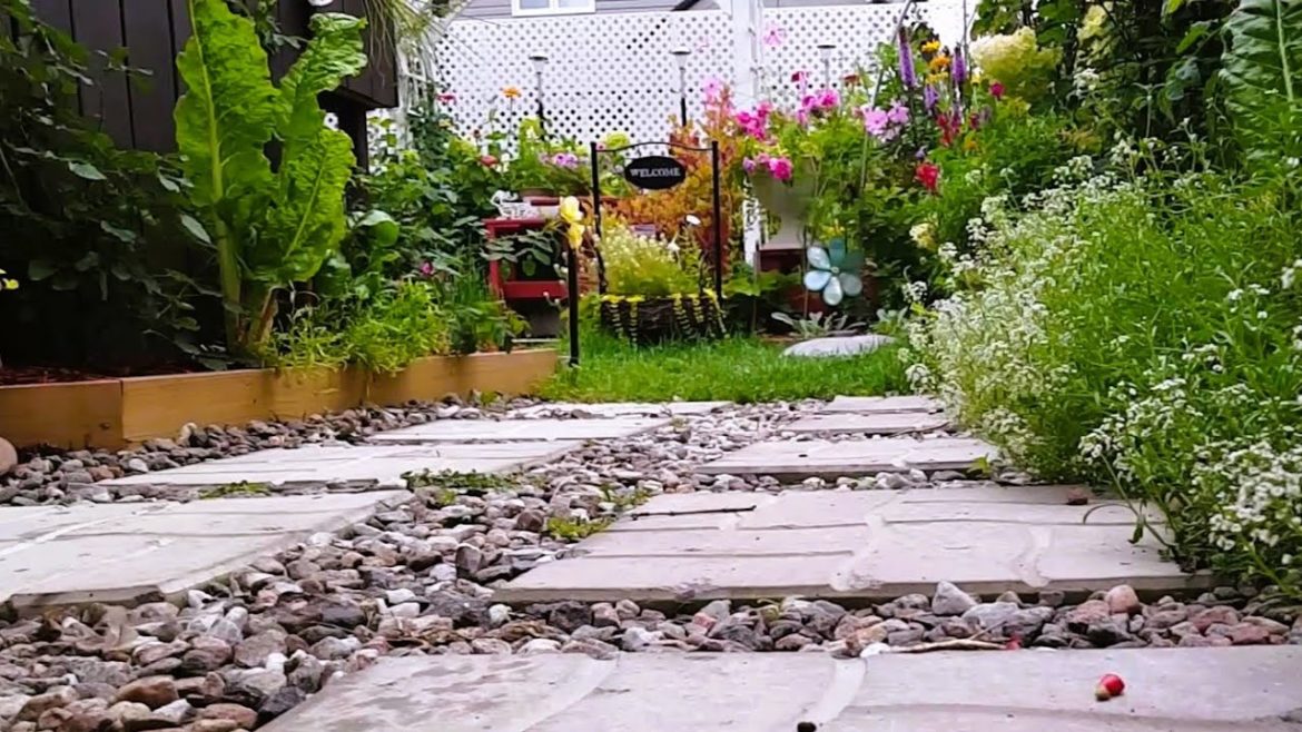 GARDEN TOUR | Come see our small backyard garden with PERENNIALS and ANNUAL FLOWERS | Relaxing Tour GARDEN TOUR | Come see our small backyard garden with PERENNIALS and ANNUAL FLOWERS | Relaxing Tour