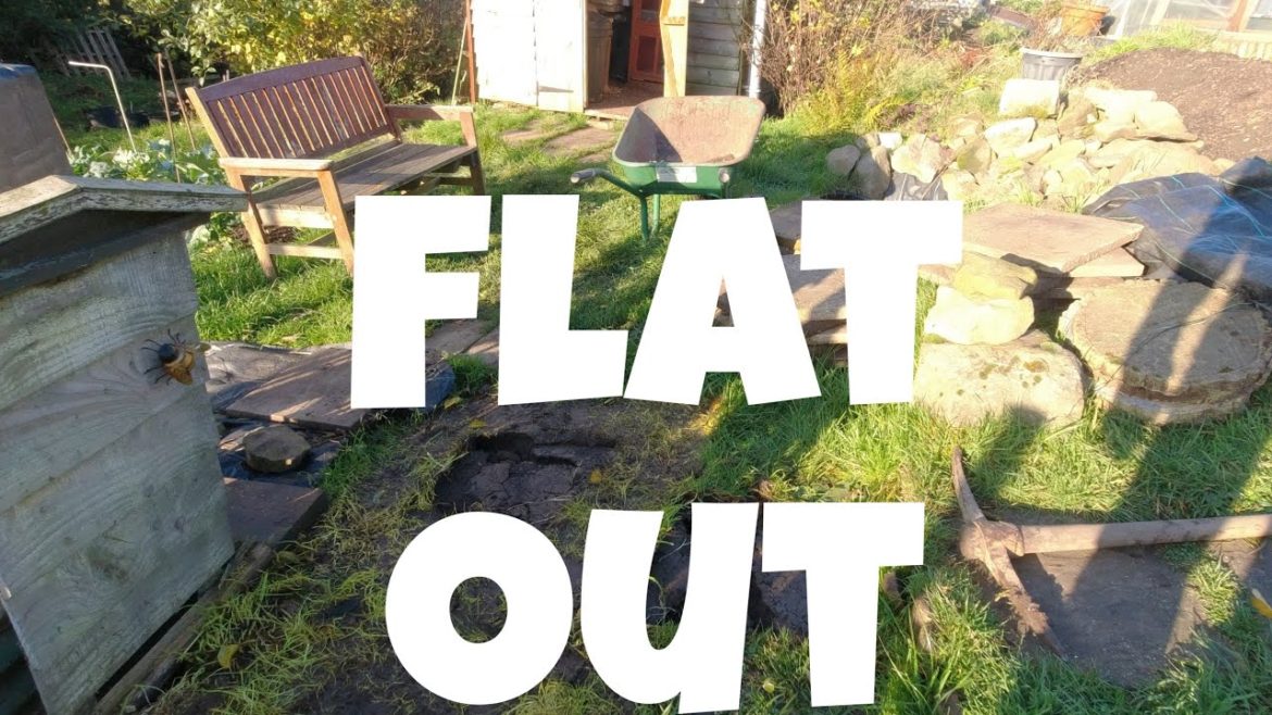 Flat out | Allotments For Fun and Food