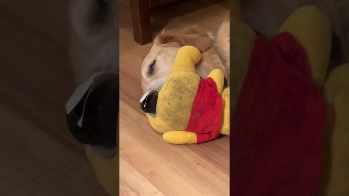 Tucker love moments. Tucker love moments.