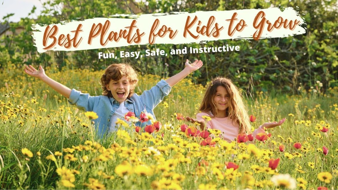 5 Best Plants for Kids to Grow - Examples That Are Fun, Easy, Safe, and Instructive 👌👍