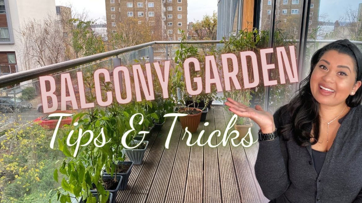 How to start a balcony garden | Tips for starting a vegetable garden in a small space in 2021 How to start a balcony garden | Tips for starting a vegetable garden in a small space in 2021