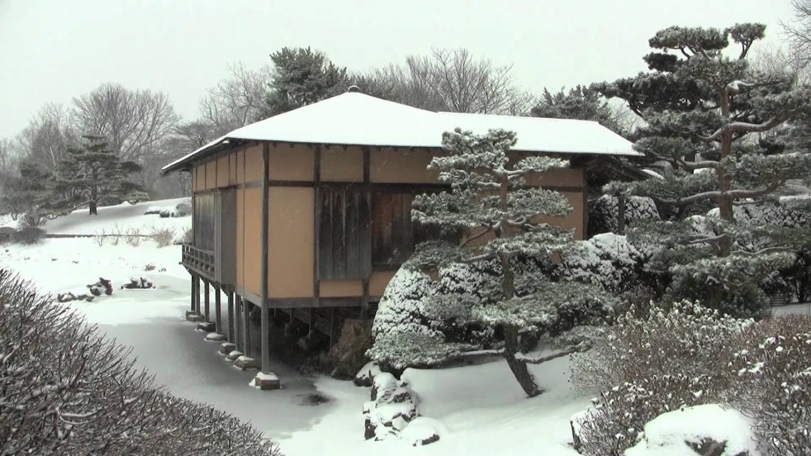 The Malott Japanese Garden in Winter The Malott Japanese Garden in Winter