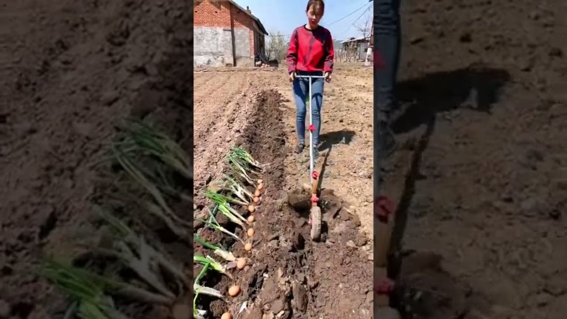 Gardening tool