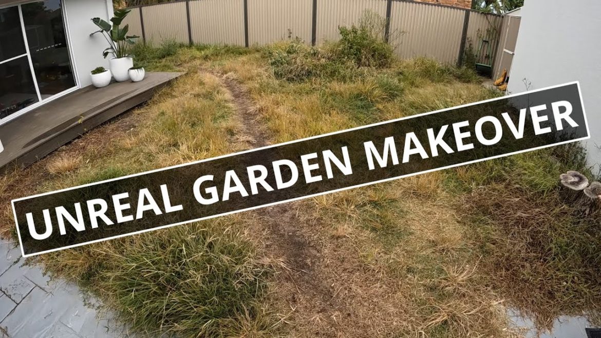 Landscape Transformation Timelapse - Gold Coast - Lynx Landscaping