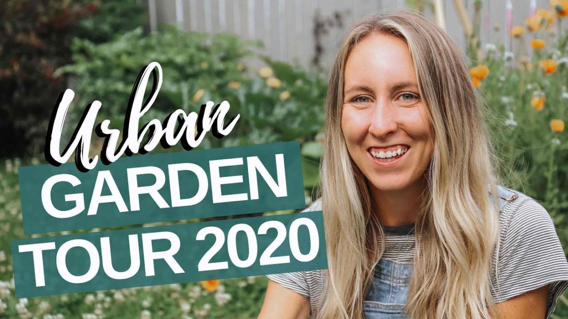 2020 URBAN GARDEN TOUR  / BACKYARD GARDEN TOUR 2020 / Tory Stender