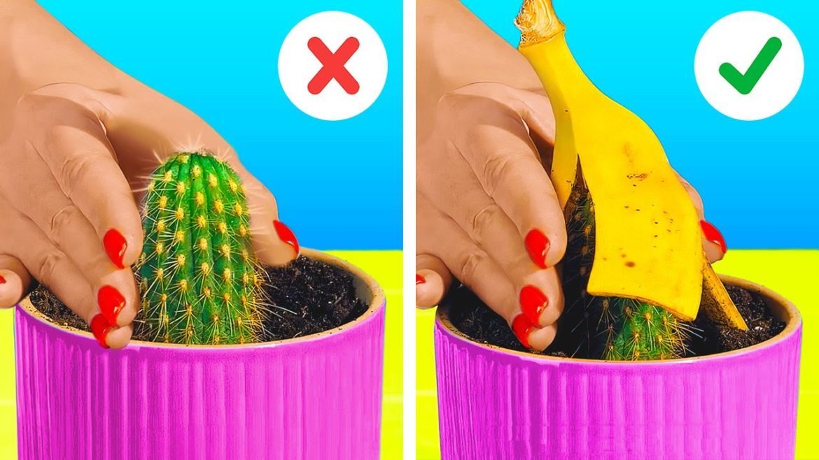 35 Useful Tips For Your Inner Gardener || Cool Gardening Gadgets And Hacks by 5-Minute DECOR!