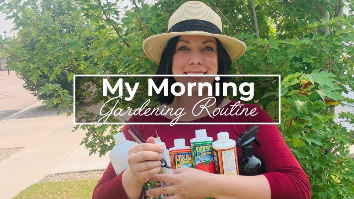 MY MORNING GARDEN ROUTINE 🌿🌸 MY BACKYARD GARDEN IS 100% IN CONTAINERS  My Unofficial Bunny🐰Farm