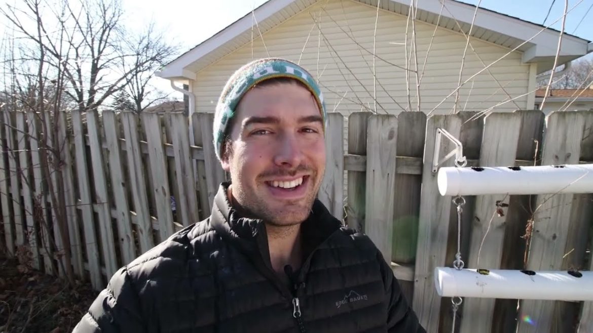 MIgardener: What You CAN and CAN’T Do About A Neighbor’s Tree Shading Your Garden What You CAN and CAN’T Do About A Neighbor’s Tree Shading Your Garden