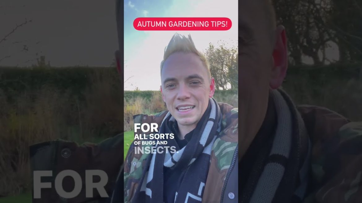 Autumn gardening tips: do less & help nature more! 🥷🍂🍃🤘🌿 #gardendesign #gardening #growyourown Autumn gardening tips: do less & help nature more! 🥷🍂🍃🤘🌿 #gardendesign #gardening #growyourown
