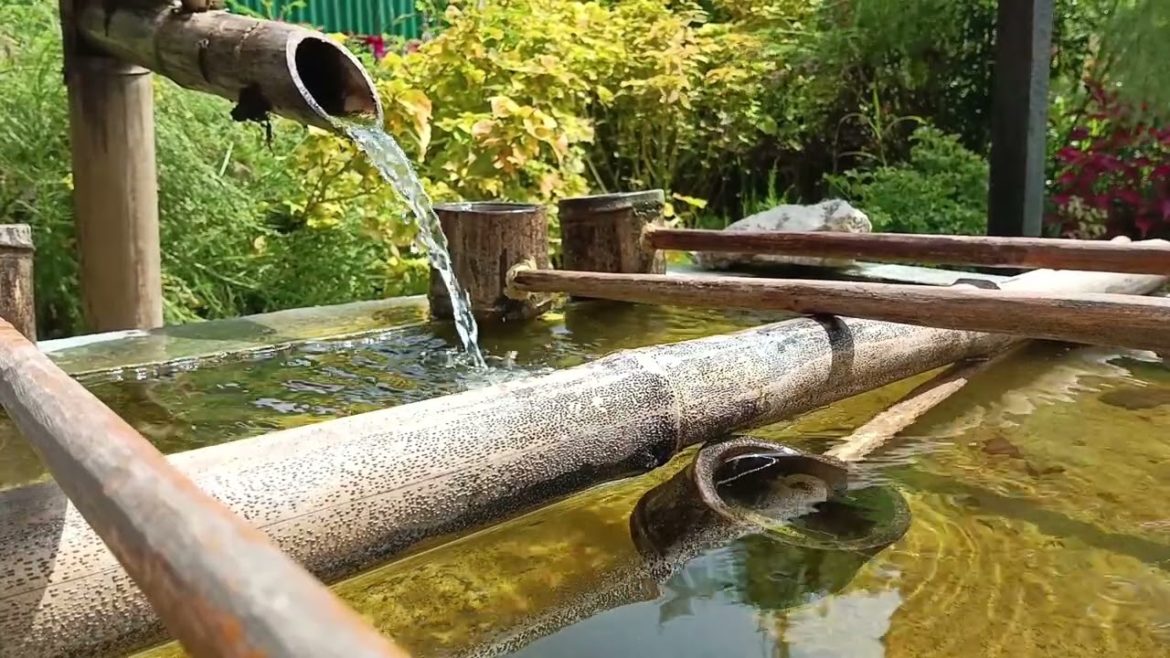 Bamboo Zen Garden, Study, Relax, Sleep, Unwind [2 HOURS]