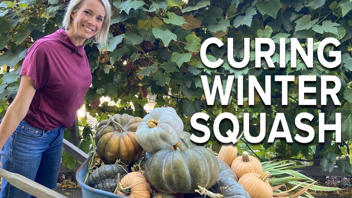 Curing and Saving Winter Squash