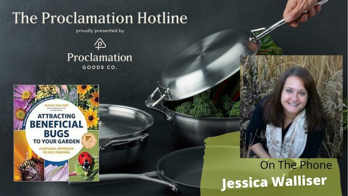 How to keep container watered correctly? Jessica Walliser explains – Garden talk radio clip How to keep container watered correctly? Jessica Walliser explains - Garden talk radio clip