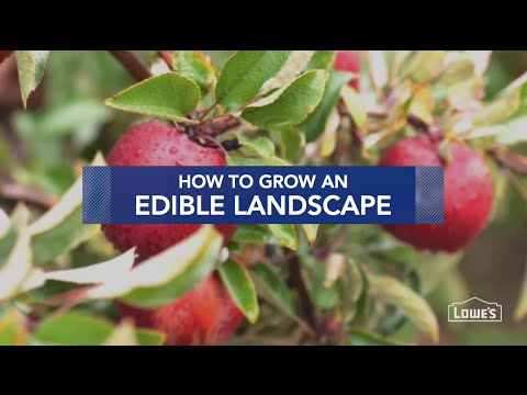 How to Grow an Edible Landscape How to Grow an Edible Landscape