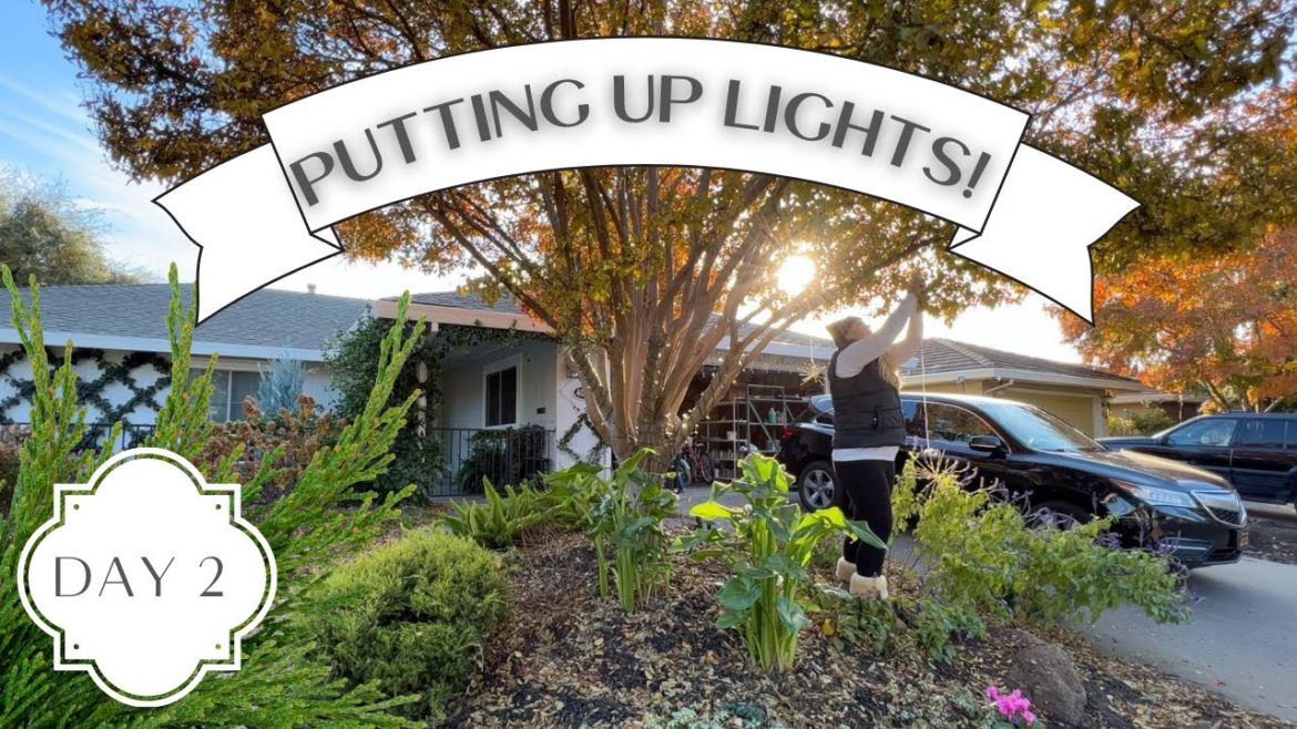 Holidays in the Garden Series Day 2! :: Decorating the Front Yard!