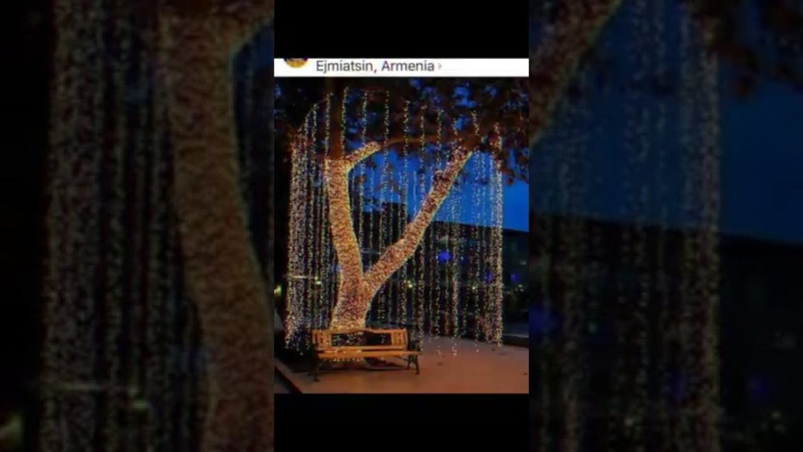 Landscape Desing ideas Best ideas for garden and landscape #56234 #shorts 525 Landscape Desing ideas Best ideas for garden and landscape #56234 #shorts 525