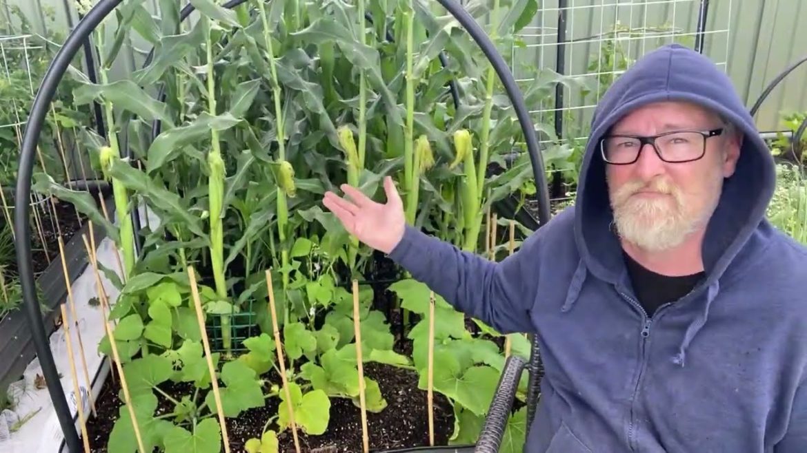 NOVEMBER 2022 EDIBLE GARDEN TOUR