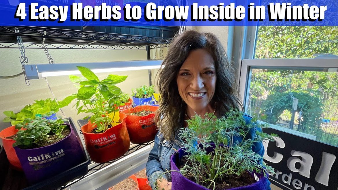 4 Easy Herbs to Grow Inside In Winter – From Seed & Cuttings 🌱 4 Easy Herbs to Grow Inside In Winter - From Seed & Cuttings 🌱