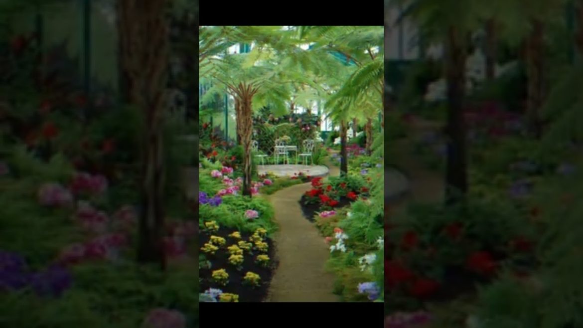 Landscape Desing ideas Best ideas for  garden and landscape #56234 #shorts 517