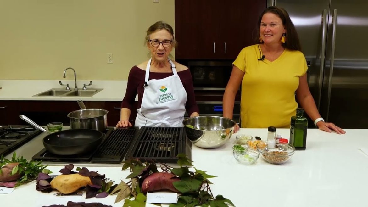 Ornamental, Edible Sweet Potatoes; Making an Incredible Salad