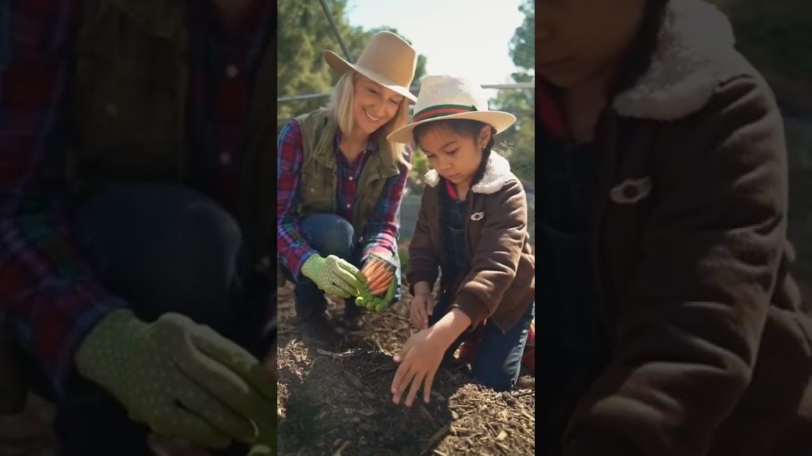 Seeds For Gardening #gardening #seeds #farming #telugu #shorts Seeds For Gardening #gardening #seeds #farming #telugu #shorts