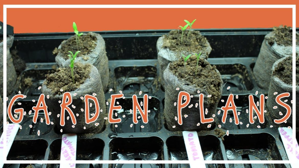 My Garden Plans | 2020 (Part 1) My Garden Plans | 2020 (Part 1)