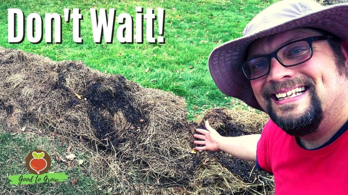 Prep Your Ruth Stout Bed NOW For Next Season! | Quail Manure Experiment