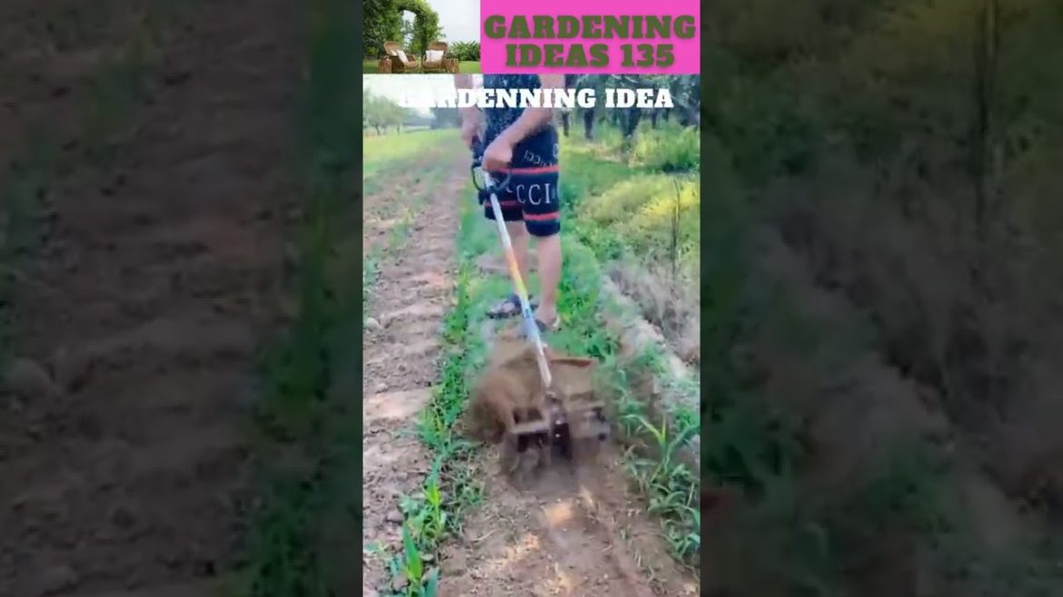 Electronic Weeding Tool Multifunction😍🍋🌱😁🌴🌱🌿😇 /gardening ideas 😁🌴🌱🌿😇