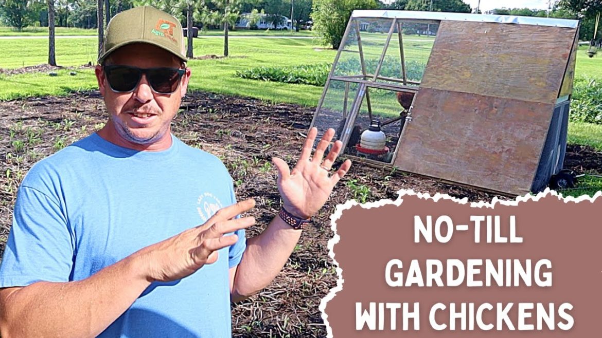 GET YOUR BACKYARD GARDEN TILLED FOR FREE! | COMPLETE GARDEN TOUR