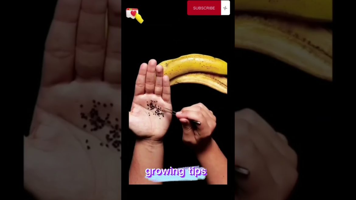 growing tips #Viral shorts #gardening tips