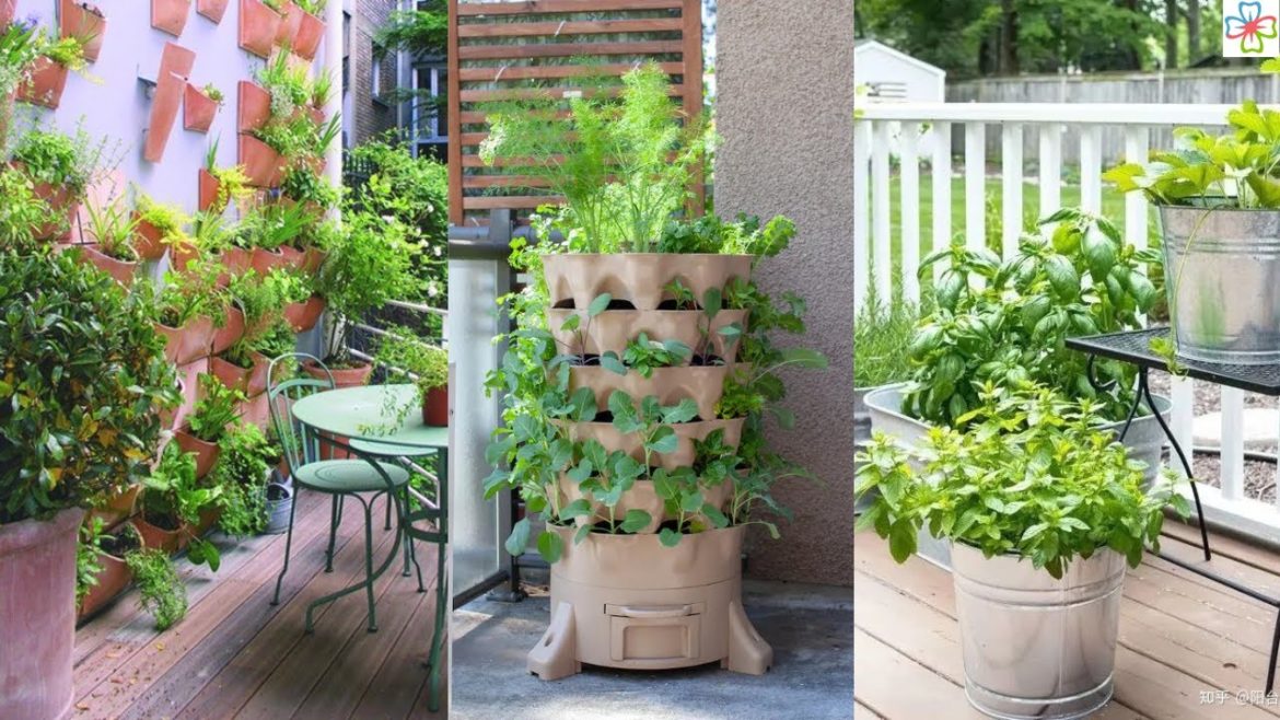 6 Types of Urban Herb Gardens That Need No Space 6 Types of Urban Herb Gardens That Need No Space