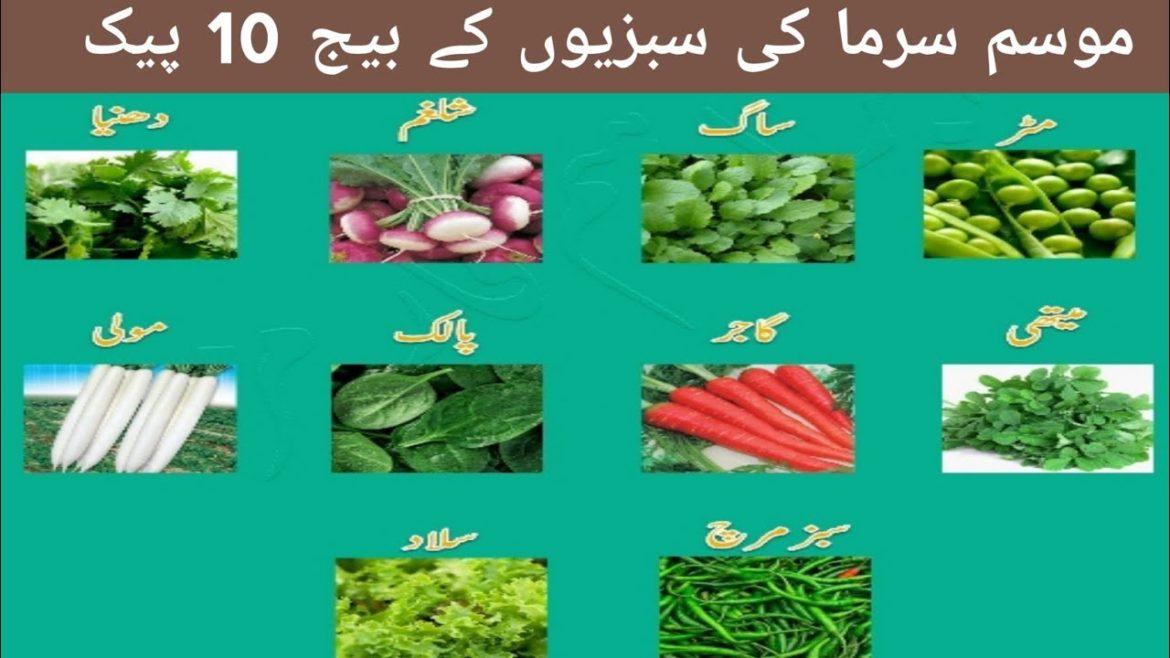 Kitchen Gardening Winter Vegetable Seeds 10 | Daraz Vegetable Seeds | @Adil Fast Sale Kitchen Gardening Winter Vegetable Seeds 10 | Daraz Vegetable Seeds | @Adil Fast Sale